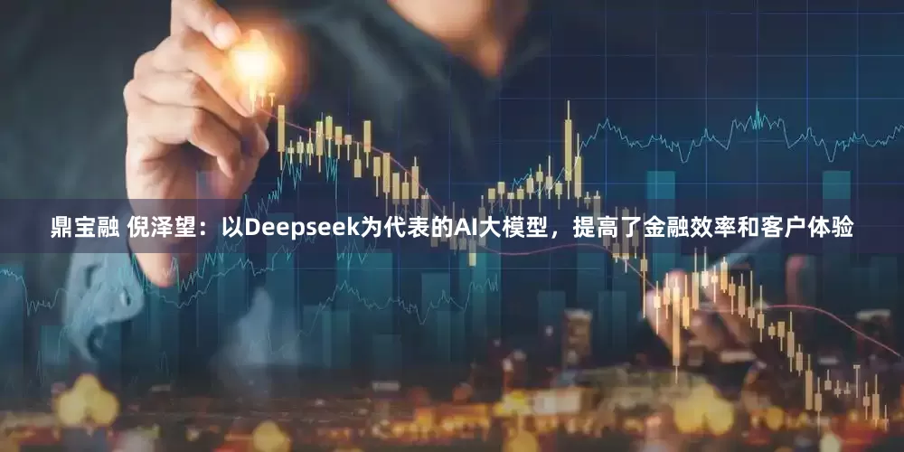 鼎宝融 倪泽望：以Deepseek为代表的AI大模型，提高了金融效率和客户体验