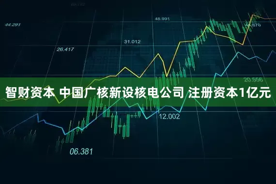 智财资本 中国广核新设核电公司 注册资本1亿元