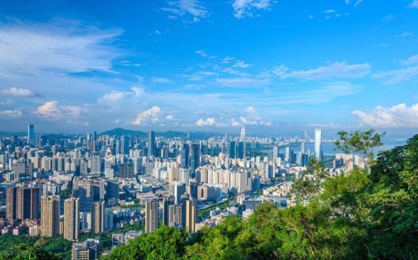 锦盈多 深圳最值得去的6个公园推荐！全部免费，地铁直达，好玩又好拍！