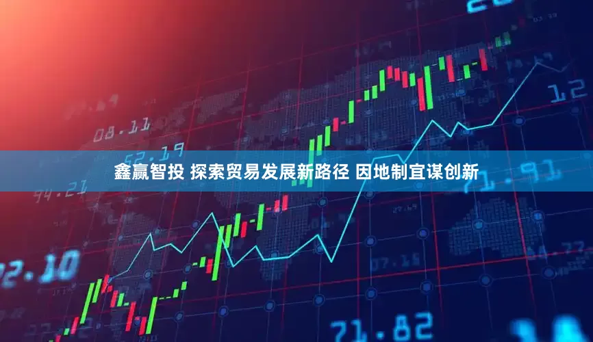 鑫赢智投 探索贸易发展新路径 因地制宜谋创新